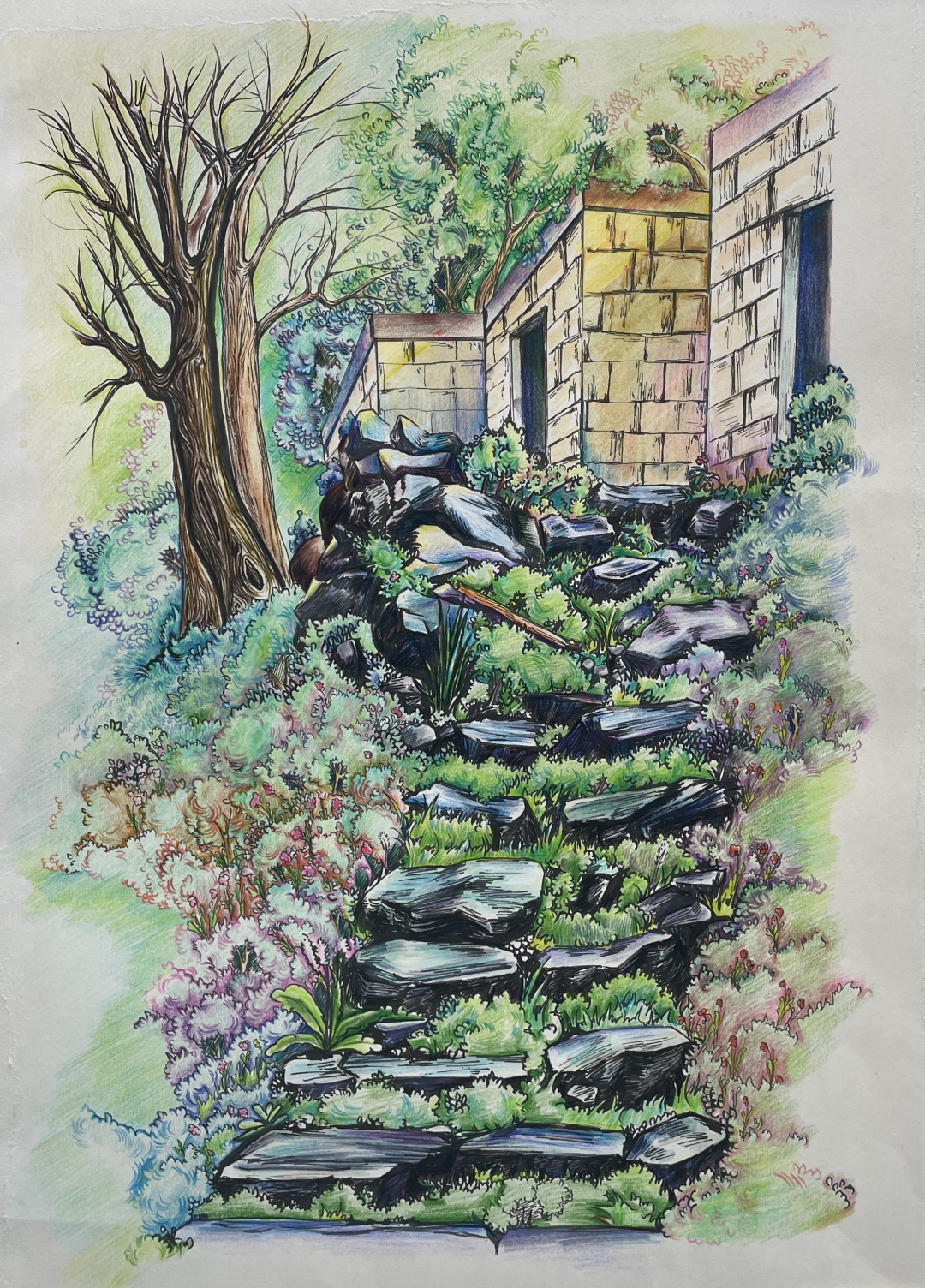 赵灵芝《石阶而上》.jpg 赵灵芝《石阶而上》.jpg